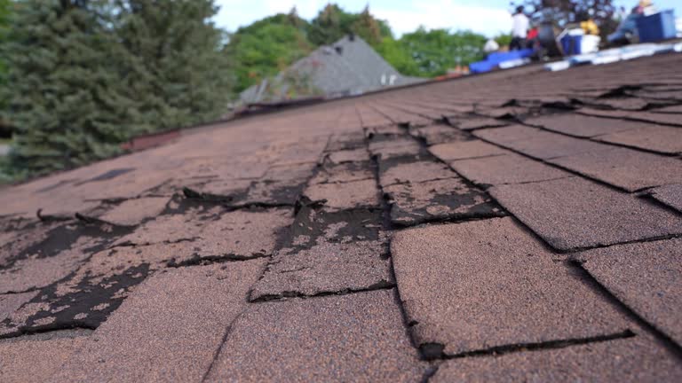 Best Roof Insulation Installation  in Sunbury, PA